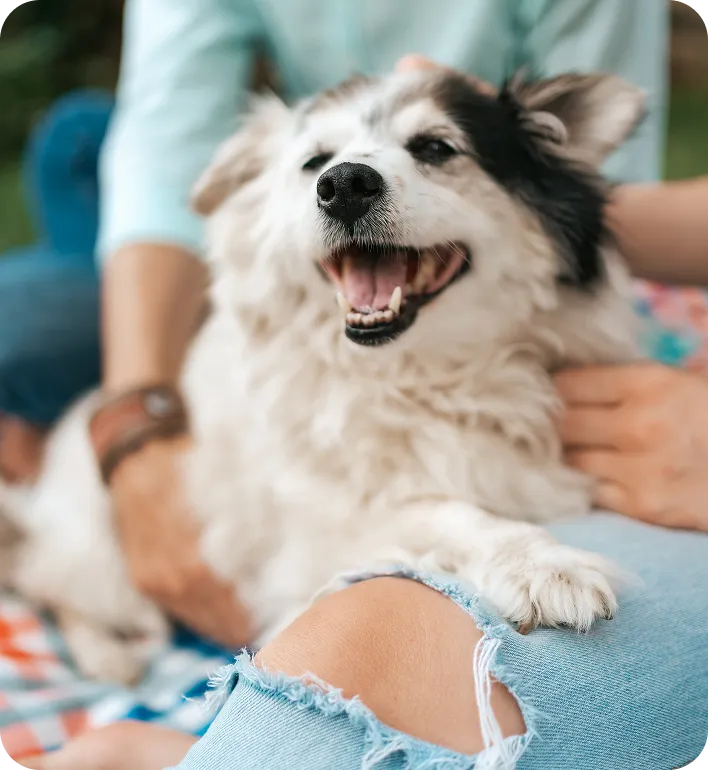 Ever Nuvia — woman hugging her dog